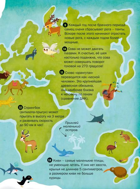 Фотография книги "100 Интересных фактов. Животные. Наклей и узнай"