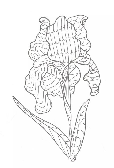 Фотография книги "100 картинок. Вдохновение и гармония. Раскраска-антистресс"