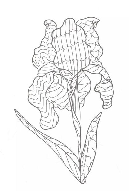 Фотография книги "100 картинок. Вдохновение и гармония. Раскраска-антистресс"