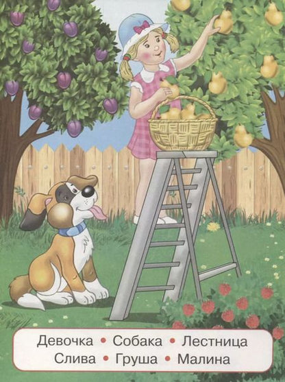 Фотография книги "100 слов. Деревня"