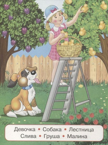 Фотография книги "100 слов. Деревня"