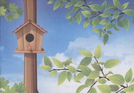 Фотография книги "111 наклеек. Птицы всего мира"