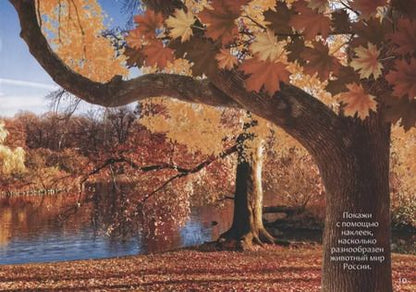 Фотография книги "111 наклеек. Животные России"