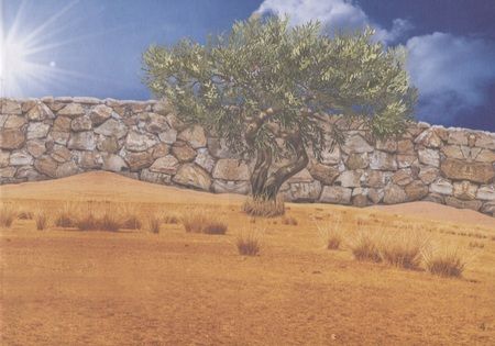 Фотография книги "111 наклеек. Зоопарк"