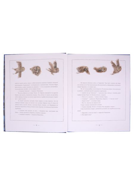 Фотография книги "12 сов"