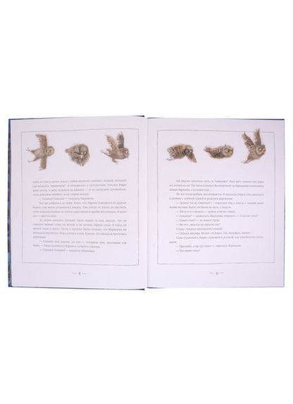 Фотография книги "12 сов"