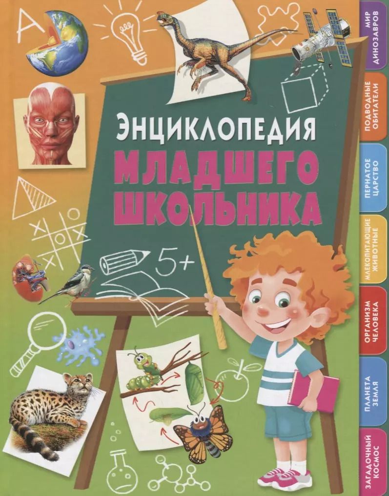 Обложка книги "Энциклопедия младшего школьника. - М. : Владис, 2019. - 128 с. 84x108/16. - ISBN 978-5-9567-2530-6 (7БЦ)"