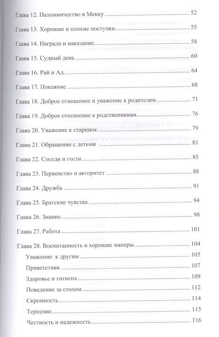 Фотография книги "205 хадисов для молодежи"