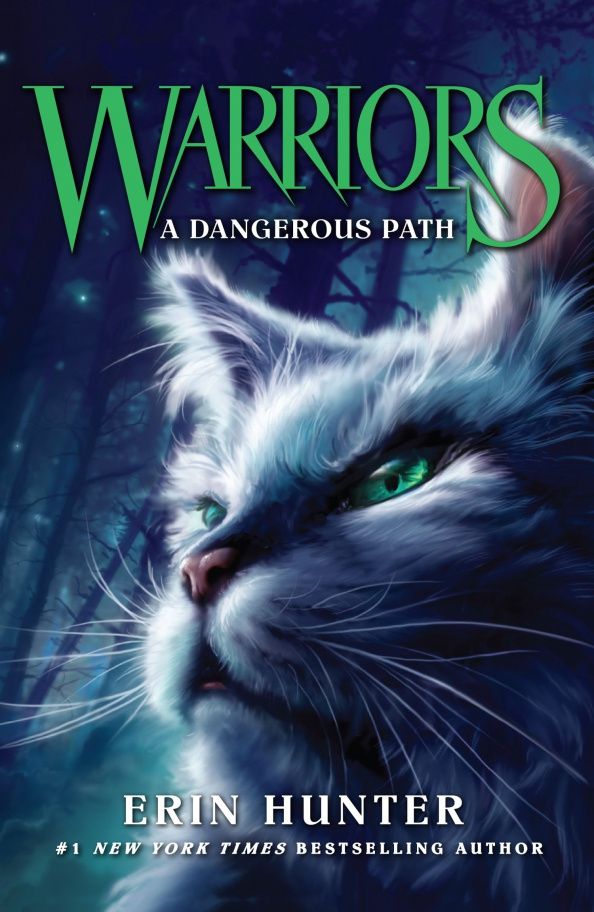 Хантер Эрин: A Dangerous Path