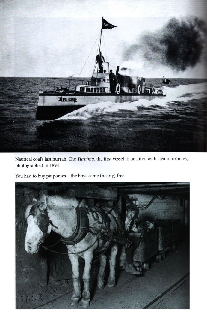 Jeremy Paxman: Black Gold. The History of How Coal Made Britain