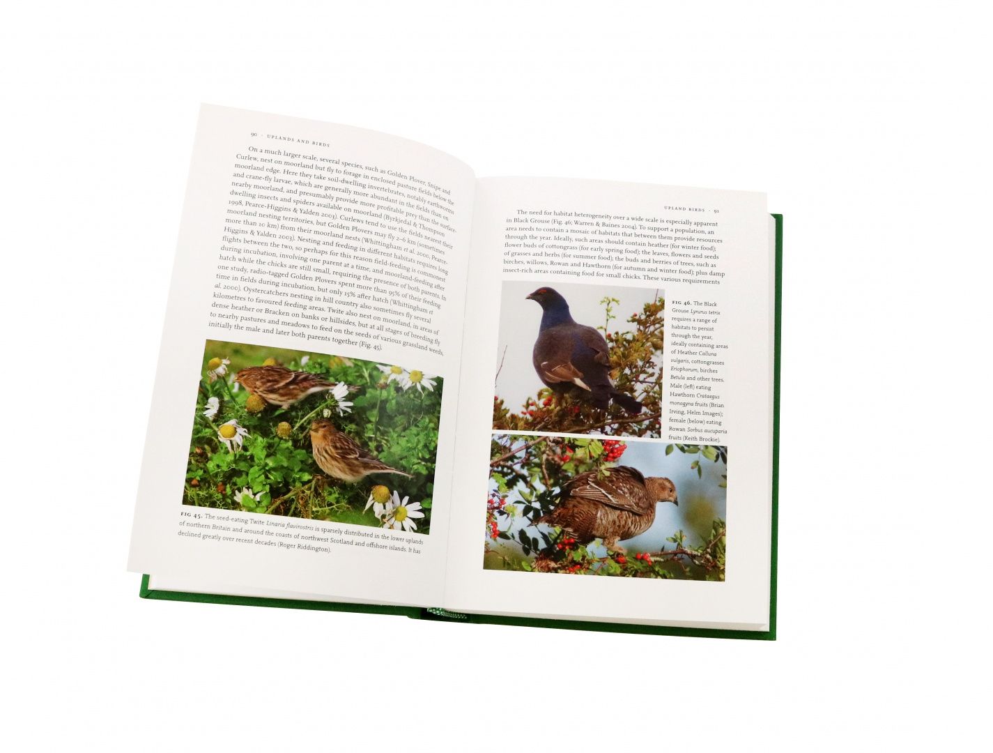 Ian Newton: Uplands And Birds