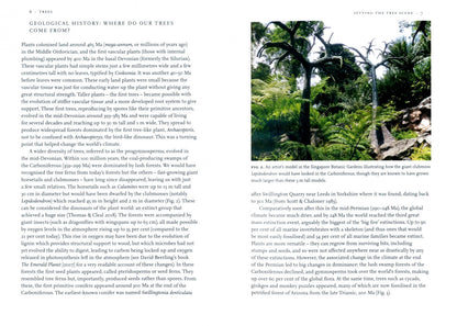 Peter Thomas: Trees