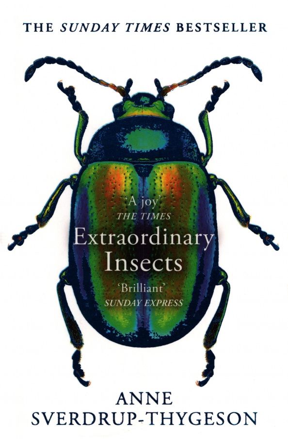 Anne Sverdrup-Thygeson: Extraordinary Insects. Weird. Wonderful. Indispensable. The ones who run our world