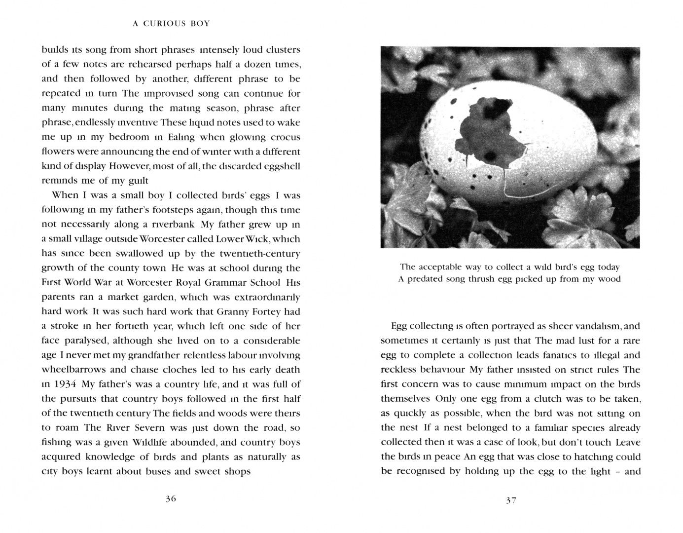 Richard Fortey: A Curious Boy. The Making of a Scientist