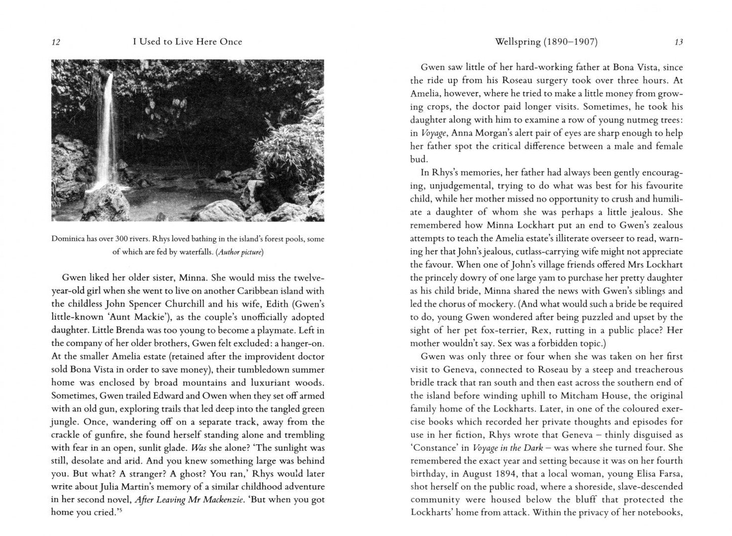 Miranda Seymour: I Used to Live Here Once. The Haunted Life of Jean Rhys