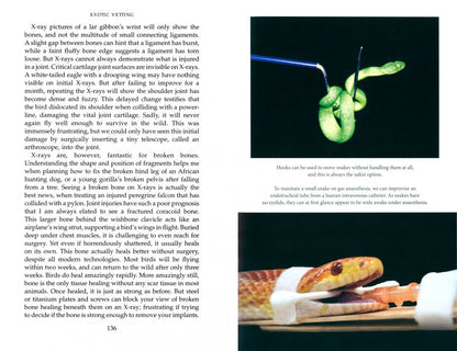 Romain Pizzi: Exotic Vetting. Extraordinary Stories of Treating Amazing Animals