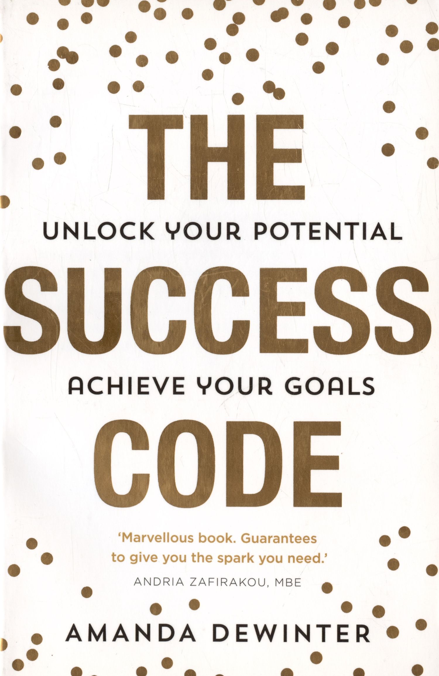 Amanda Dewinter: The Success Code