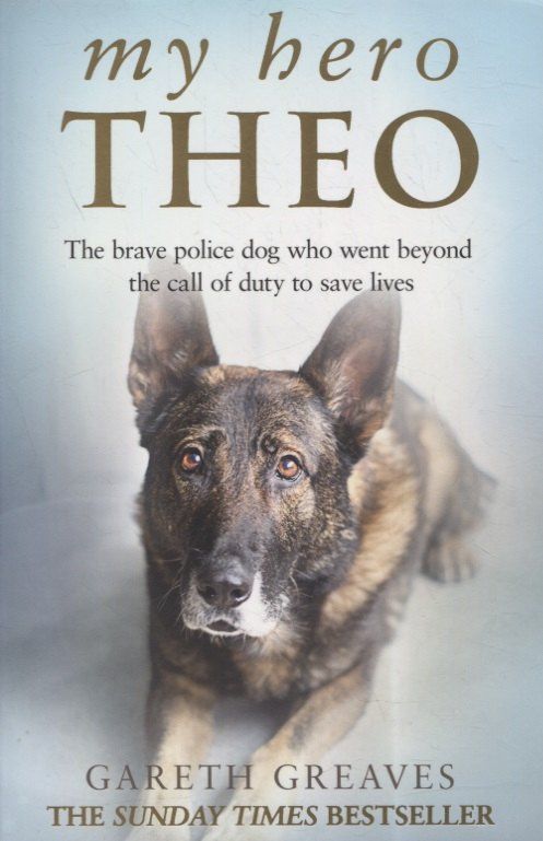 Gareth Greaves: My Hero Theo