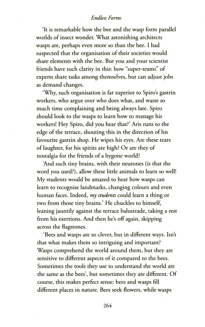Seirian Sumner: Endless Forms. The Secret World of Wasps