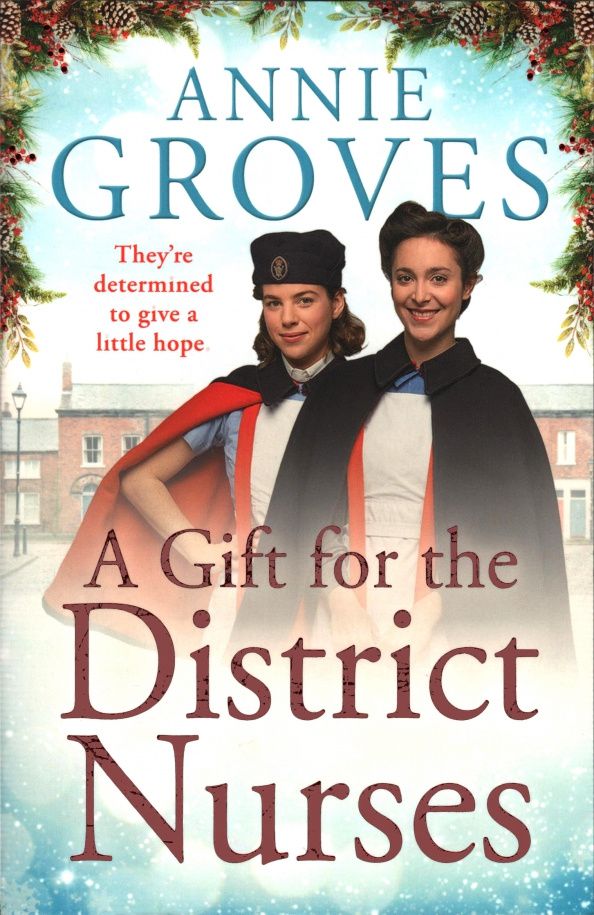 Annie Groves: A Gift for the District Nurses