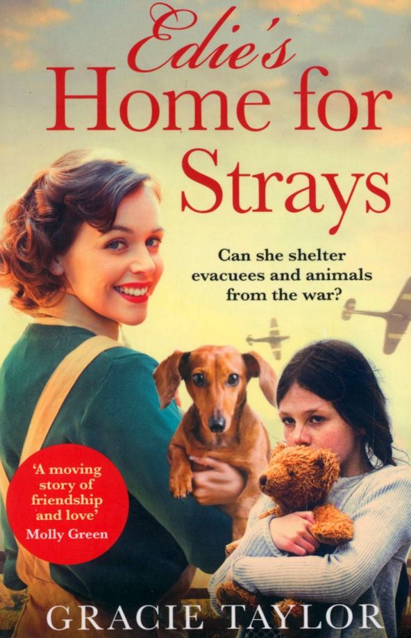Gracie Taylor: Edie’s Home for Strays
