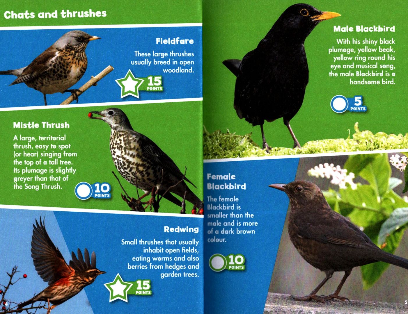 I-Spy Garden Birds. Spy It! Score It!
