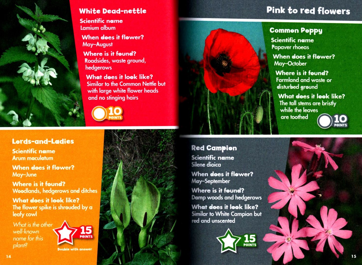 I-Spy Wildflowers. Spy It! Score It!