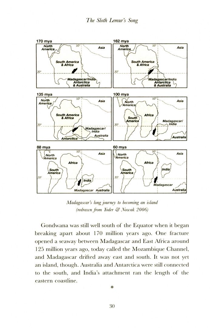 Alison Richard: The Sloth Lemur's Song. Madagascar from the Deep Past to the Uncertain Present