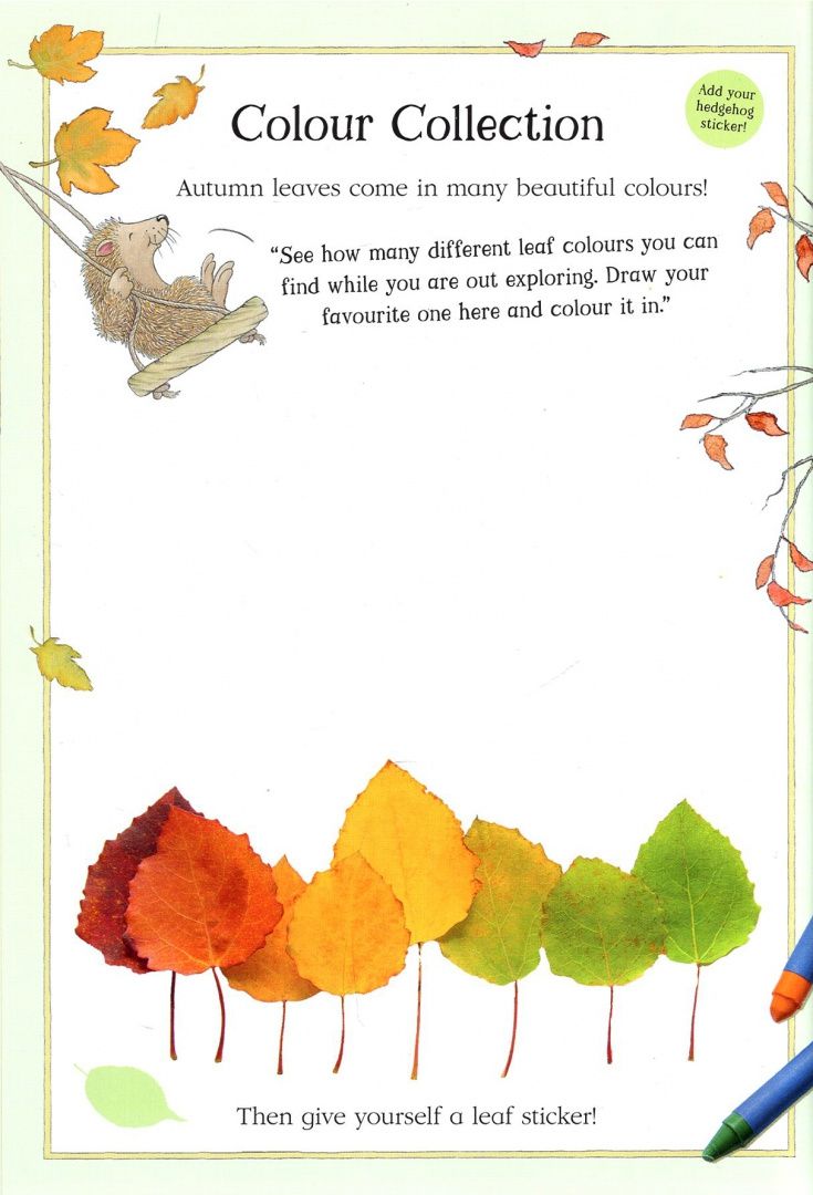 Nick Butterworth: Percy the Park Keeper. Nature Explorer Activity Book
