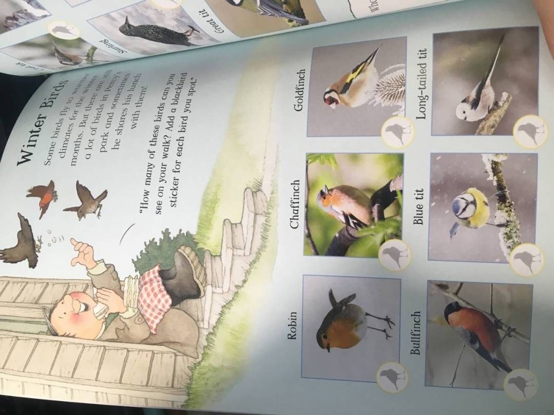 Nick Butterworth: Percy the Park Keeper. Nature Explorer Activity Book