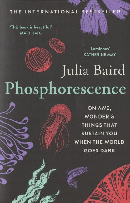 Julia Baird: Phosphorescence: On Awe, Wonder & Things That Sustain You When the World Goes Dark