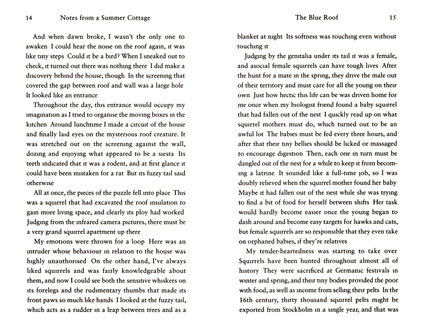 Nina Burton: Notes from a Summer Cottage. The Intimate Life of the Outside World