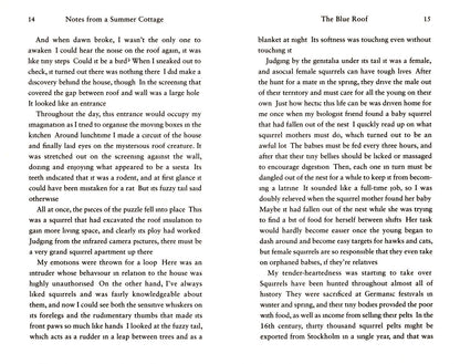 Nina Burton: Notes from a Summer Cottage. The Intimate Life of the Outside World