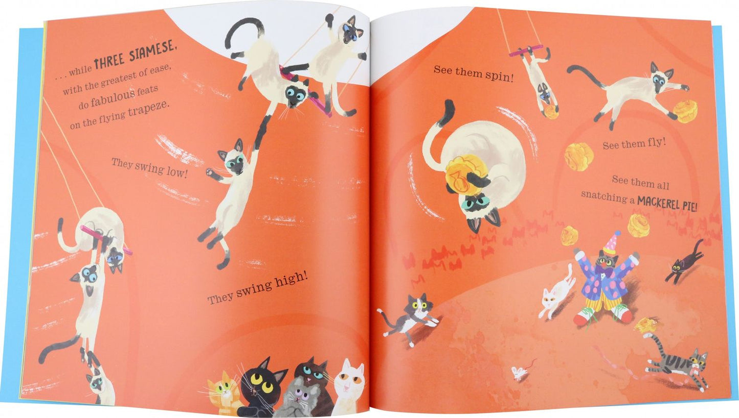 Peter Bently: Cats in Chaos