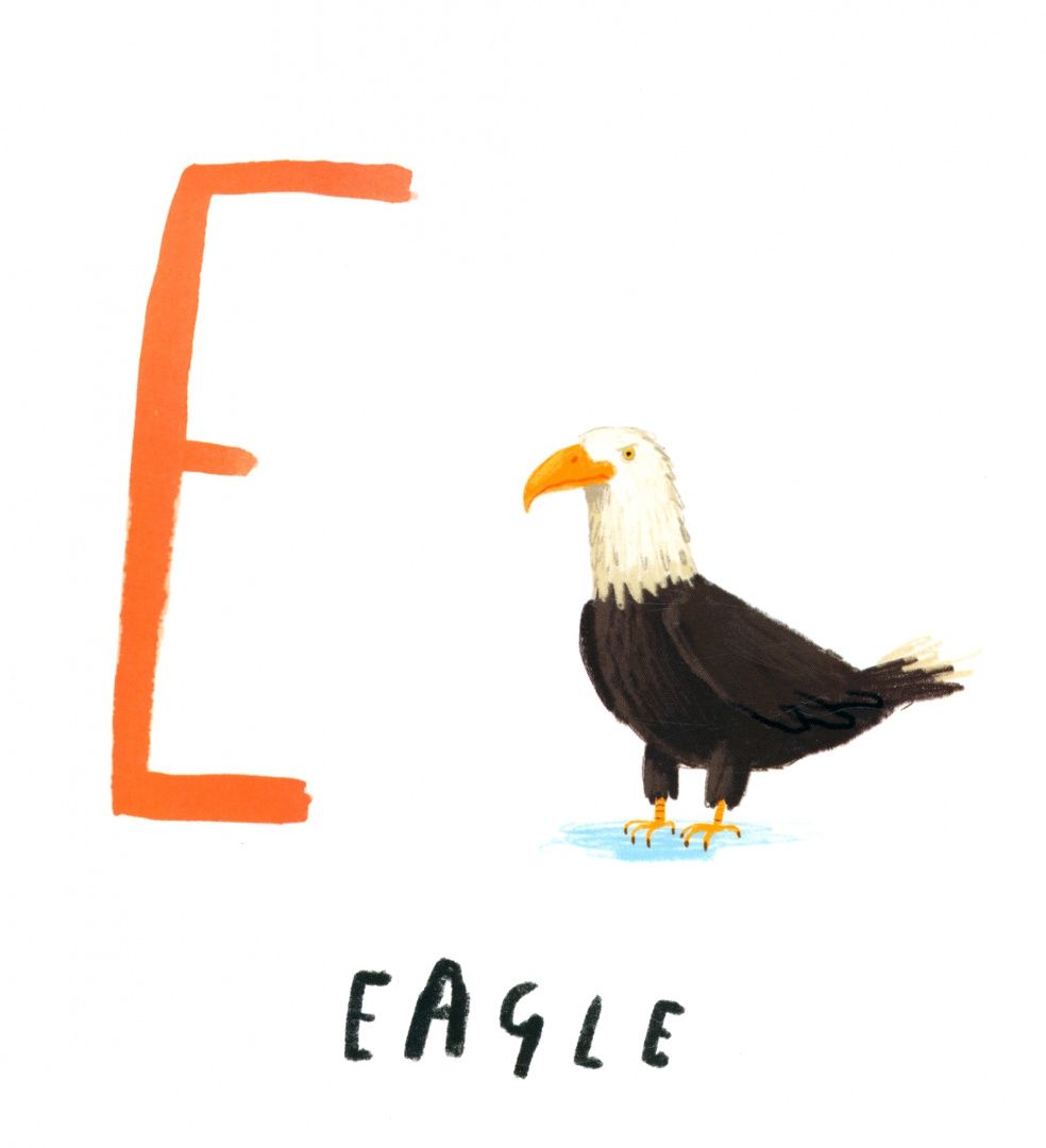 Oliver Jeffers: Book of Animals