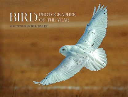 Bird Photographer of the Year