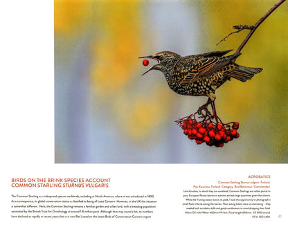 Bird Photographer of the Year