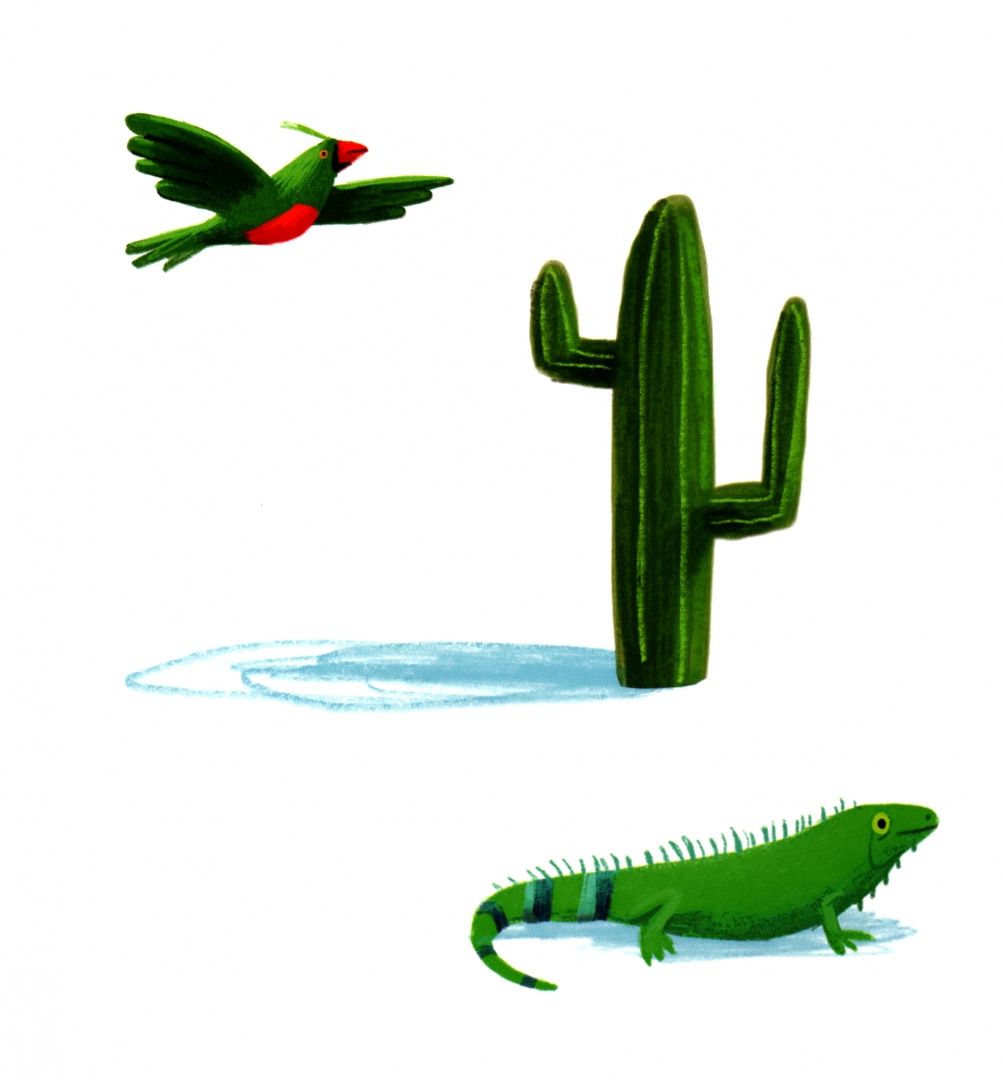 Oliver Jeffers: Book of Colours