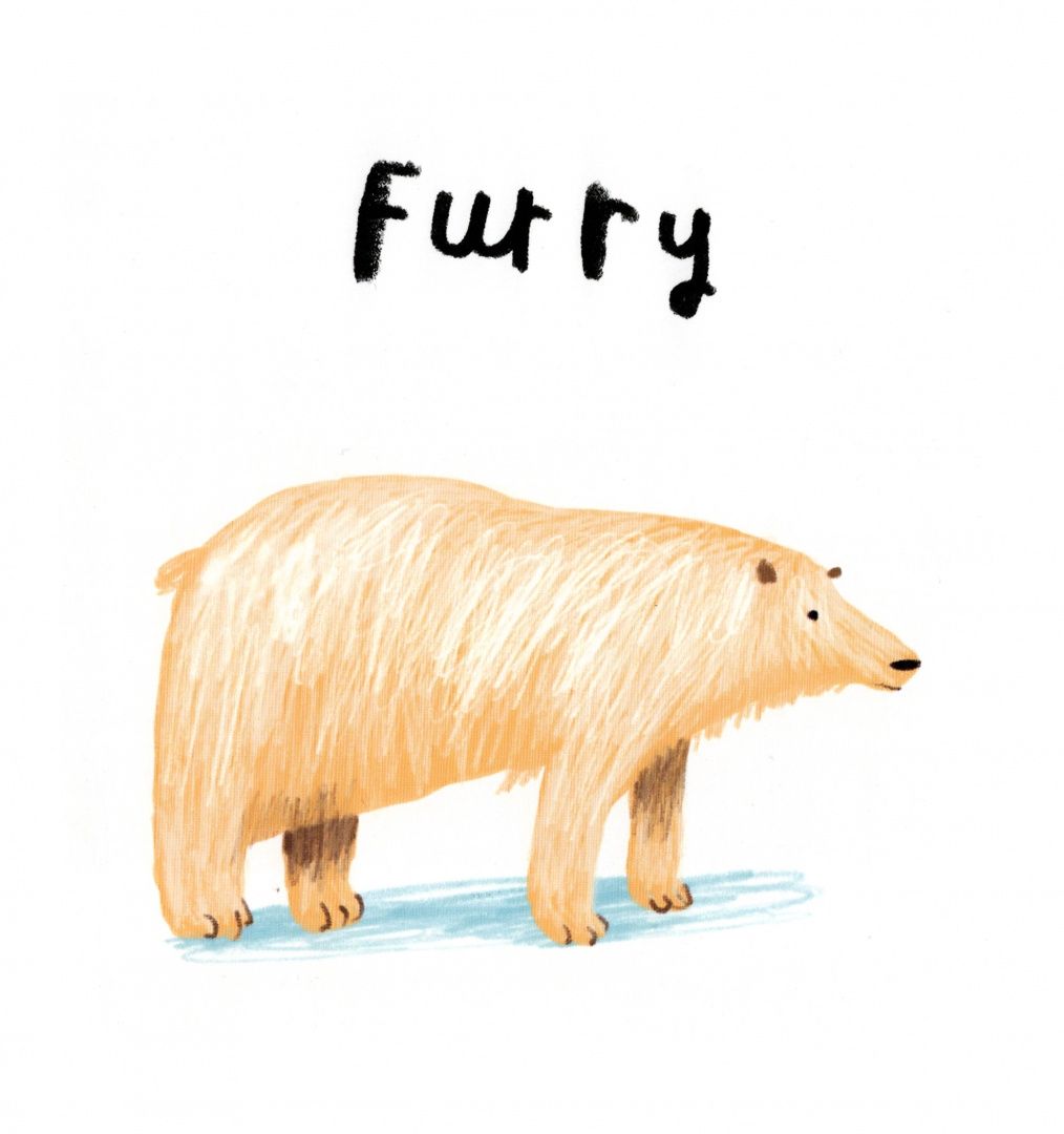 Oliver Jeffers: Book of Opposites
