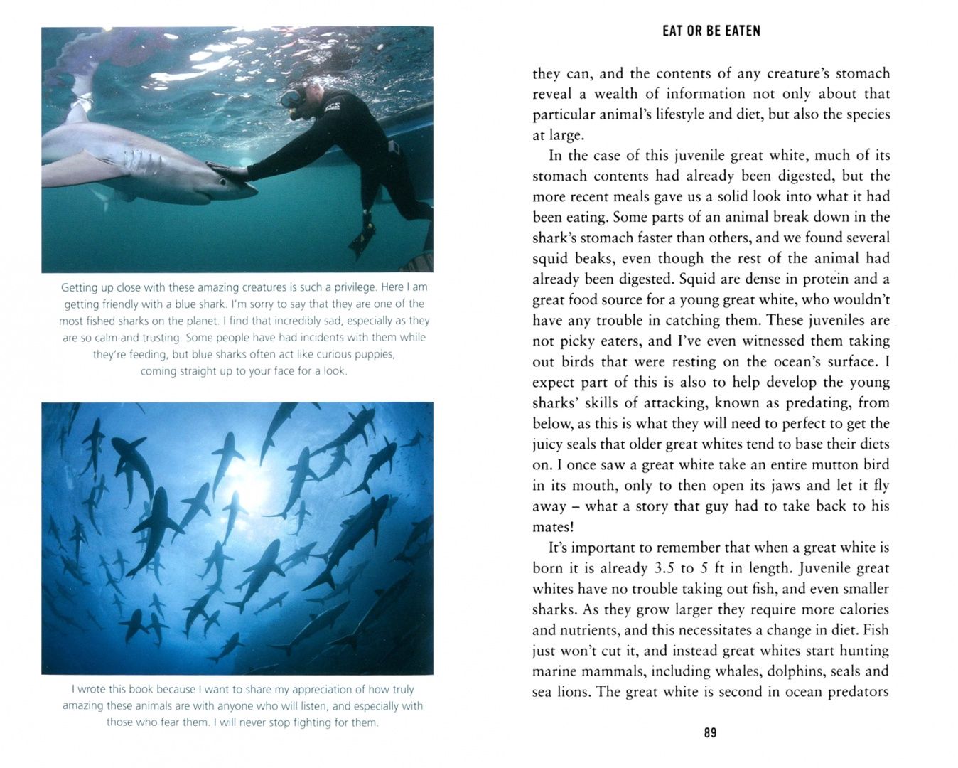 Gelder de: Shark. The world's most misunderstood predator