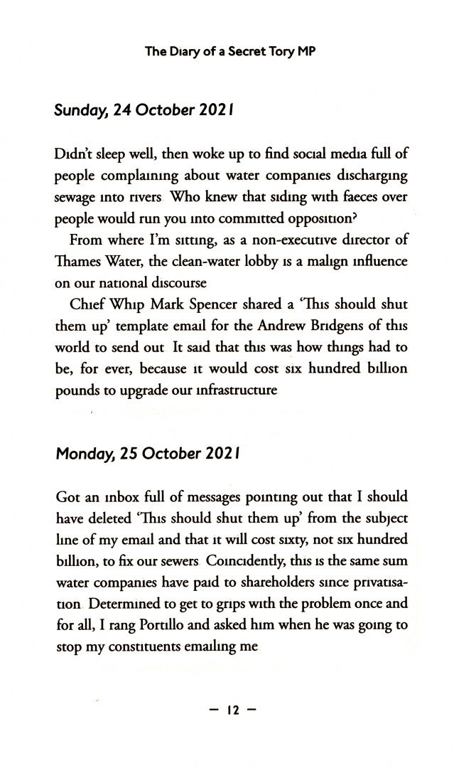 Secret The: The Diary of a Secret Tory MP