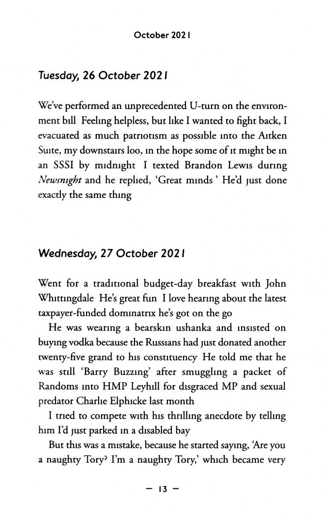 Secret The: The Diary of a Secret Tory MP