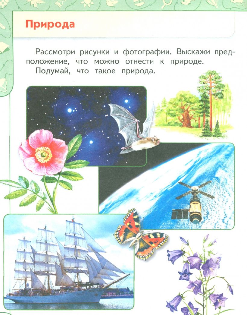 Андрей Плешаков: Окружающий мир. 1 класс. Учебник. Часть 1. ФГОС