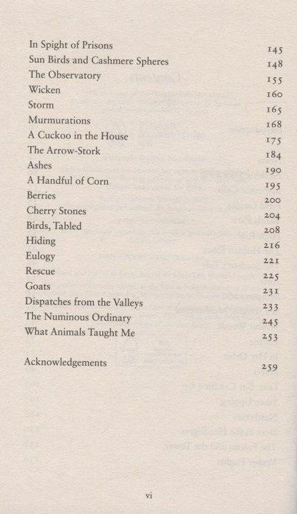 Helen MacDonald: Vesper Flights