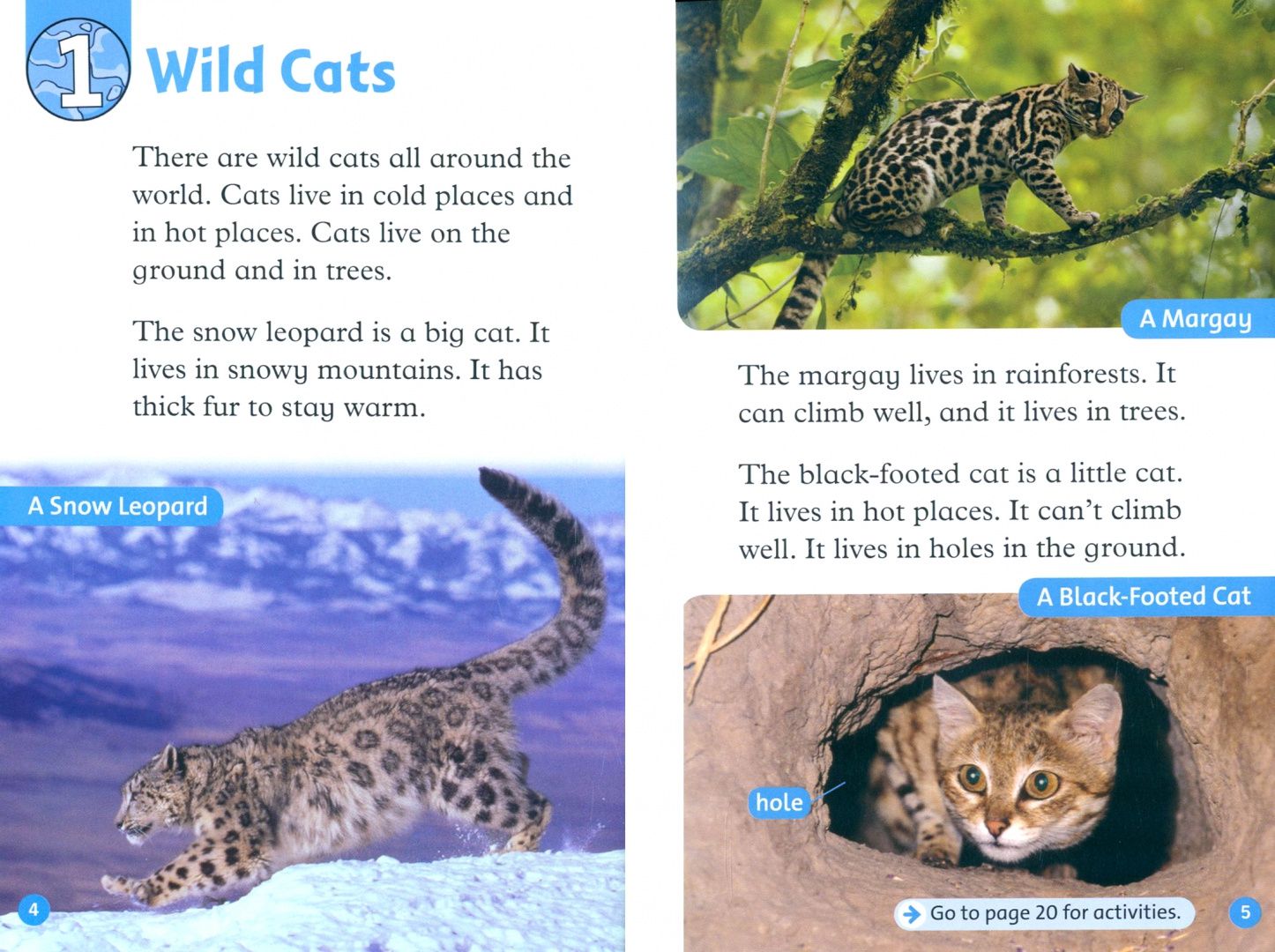 Rob Sved: Oxford Read and Discover. Level 1. Wild Cats Audio Pack