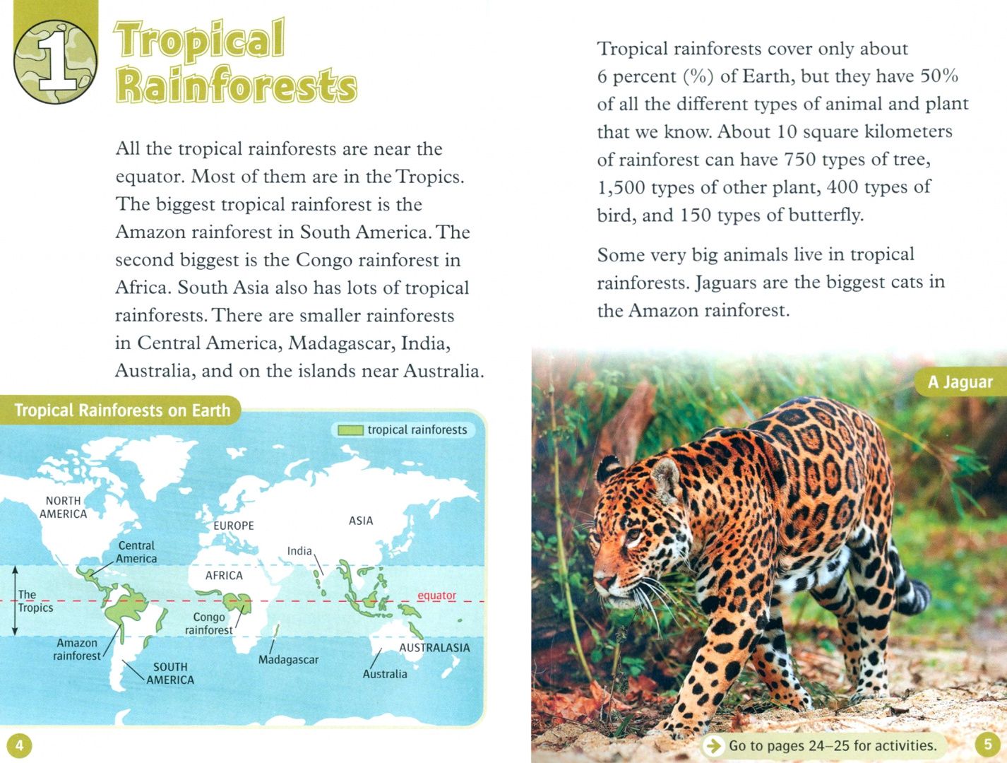 Cheryl Palin: Oxford Read and Discover. Level 3. Life in Rainforests