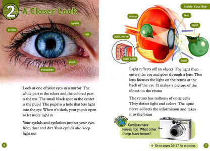 Robert Quinn: Oxford Read and Discover. Level 3. Your Five Senses Audio Pack