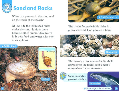 Rachel Bladon: Oxford Read and Discover. Level 1. At the Beach