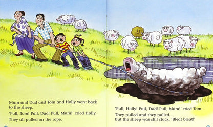 Gill Munton: The Muddy Sheep