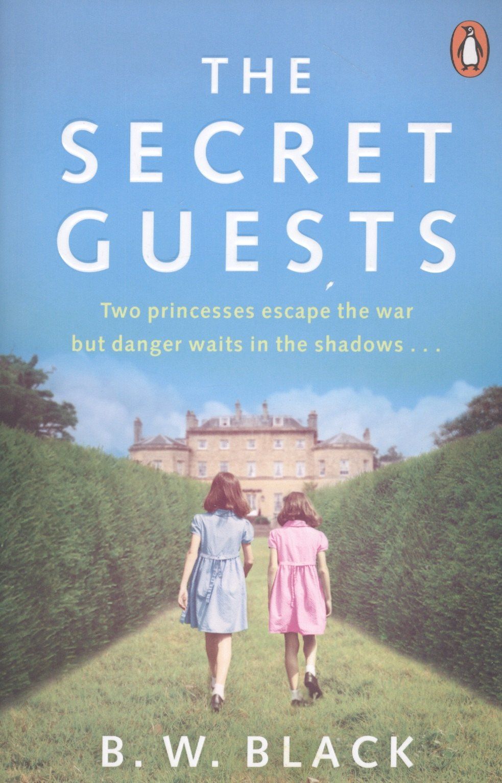 Bruce Black: The Secret Guests